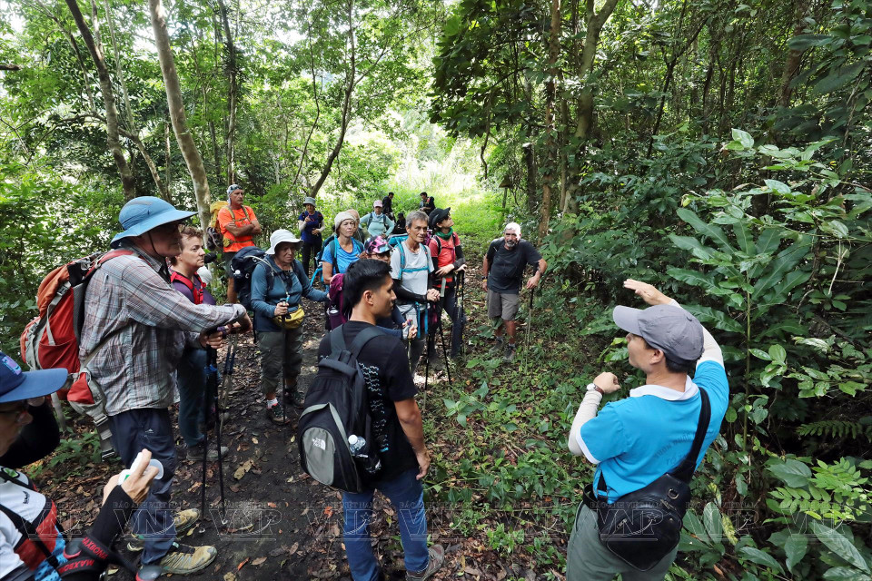 Turistas exploran rutas de senderismo en el Parque Nacional Cat Ba.