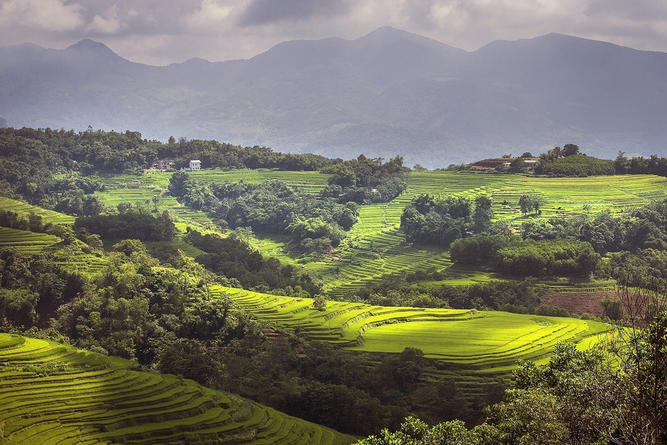 Las autoridades del distrito de Lac Son, en particular, y la provincia de Hoa Binh, en general, se empeñan en armonizar soluciones de desarrollo económico y turístico, con el fin de evitar dañar los valores naturales inherentes a ese sitio (Foto: VNA)
