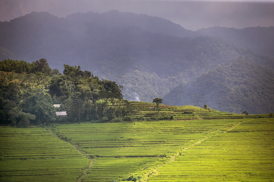 Hermosas terrazas de arroz en la comuna de Mien Doi, en el distrito de Lac Son, provincia de Hoa Binh (Foto: VNA)