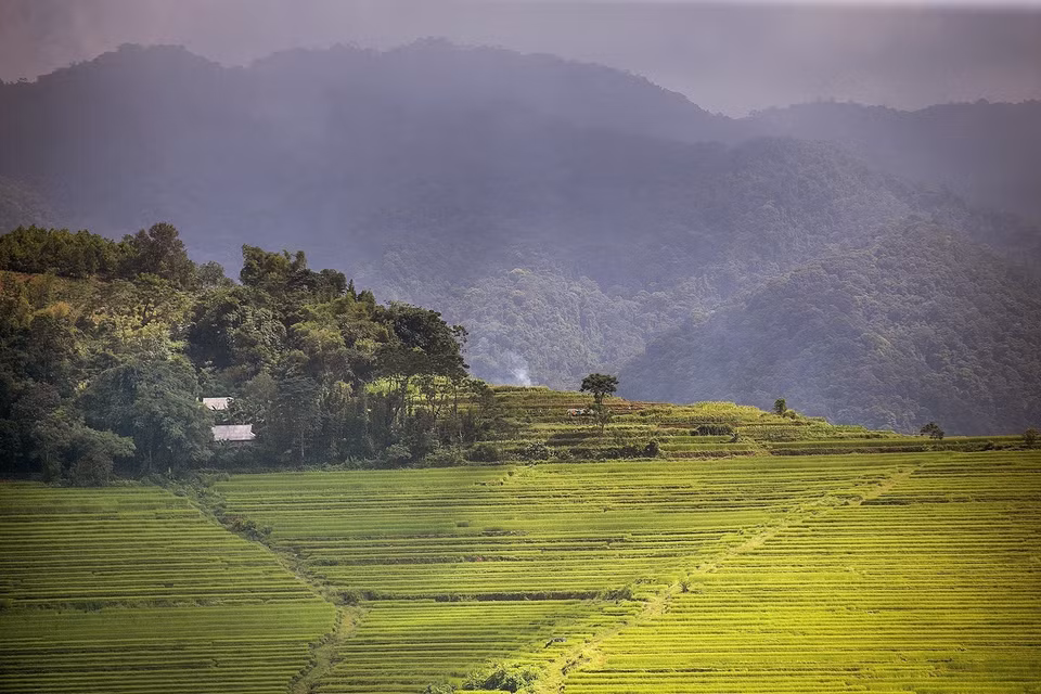 Hermosas terrazas de arroz en la comuna de Mien Doi, en el distrito de Lac Son, provincia de Hoa Binh (Foto: VNA)