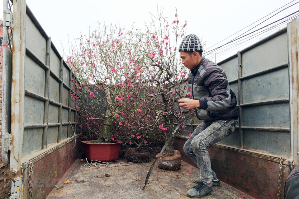 Los comerciantes se sienten también contentos por el ritmo dinámico del mercado (Fuente: VNA)