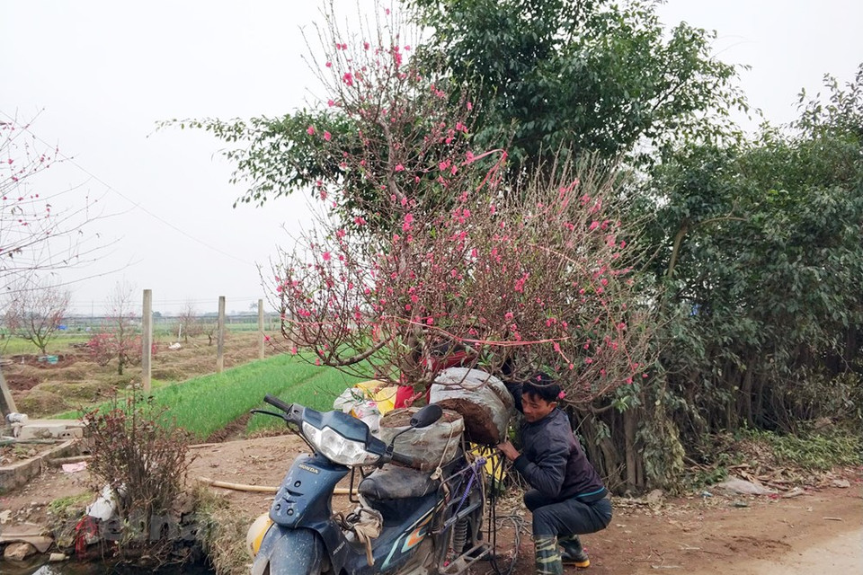 Los comerciantes se sienten también contentos por el ritmo dinámico del mercado (Fuente: VNA)