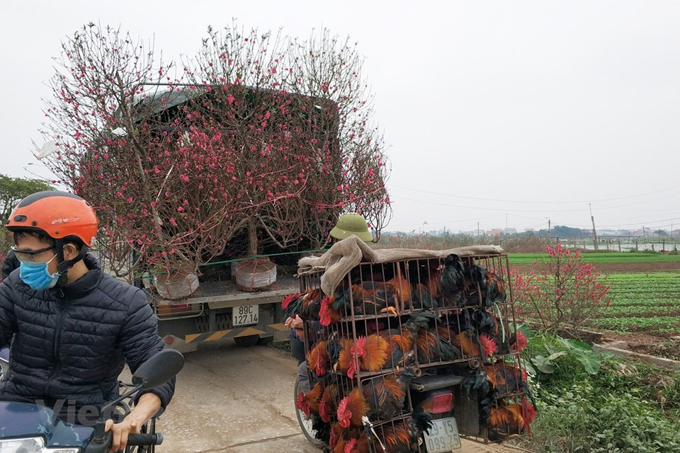 Los comerciantes se sienten también contentos por el ritmo dinámico del mercado (Fuente: VNA)