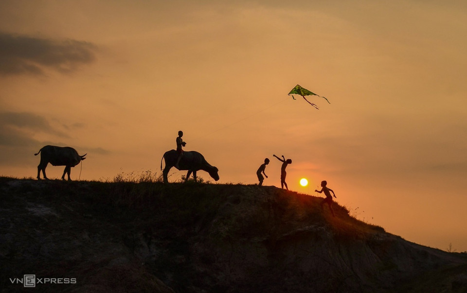 El fotógrafo captura escenas de niños pastoreando búfalos y jugando con cometas en los campos (Foto: vnexpress.net)