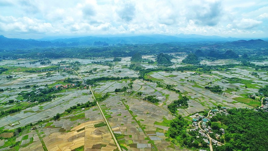 El camino a la aldea de Chien, en la comuna de Van Son, distrito de Tan Lac, provincia norteña de Hoa Binh, es peligroso pero majestuoso, con un lado apoyado contra un acantilado y el otro abrazando los campos sinuosos pero hermosos como una pintura. Ubicada a una altitud de unos 900 m sobre el nivel del mar, la aldea de Chien es una de las cinco comunas de las tierras altas del distrito de Tan Lac, donde residen durante mucho tiempo el grupo étnico de Muong. La comunidad vive concentrada alrededor de las colinas bajas, rodeadas por montañas y bosques con un aire fresco (Foto: Vietnam+)