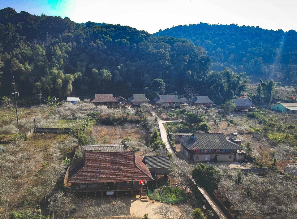 La belleza del valle de Phieng Ban en primavera. (Foto: VNA)