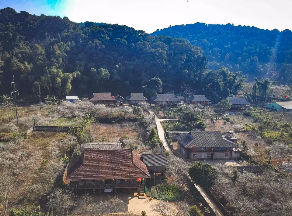 La belleza del valle de Phieng Ban en primavera. (Foto: VNA)