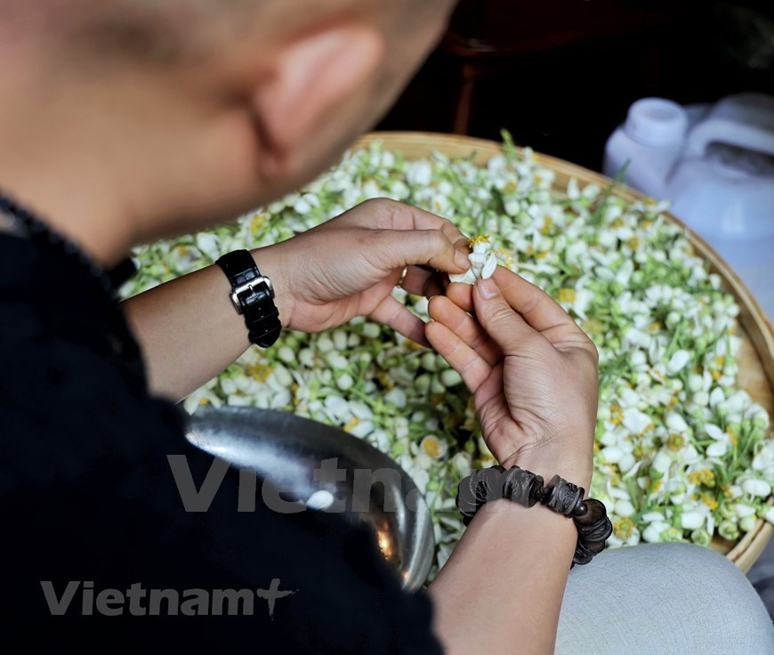 El pistilo de la flor no debe desecharse, ya que contiene una gran cantidad de aceite esencial. Se puede utilizar esta fuente natural para cuidar la salud. Primero, se vierte todo en una olla con agua limpia y después se lo hierve durante unos cinco minutos. Luego se extrae el sobrante del hornillo y se lo usa para bañarse, lo que ayudará a limpiar y relajar el cuerpo, además de suavizar la piel. También se puede usar para hacer el baño de vapor. Además, a las chicas se les puede lavar el pelo con ese líquido en vez del champú, para que el cabello sea suave y tenga un aroma relajante. (Fuente: Vietnam+)