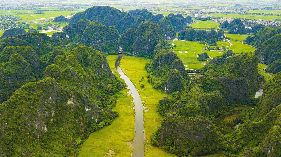 Los campos de arroz dorados a lo largo del río Ngo Dong, en la zona turística de Tam Coc-Bich Dong, de la provincia de Ninh Binh (Fuente: VNA)