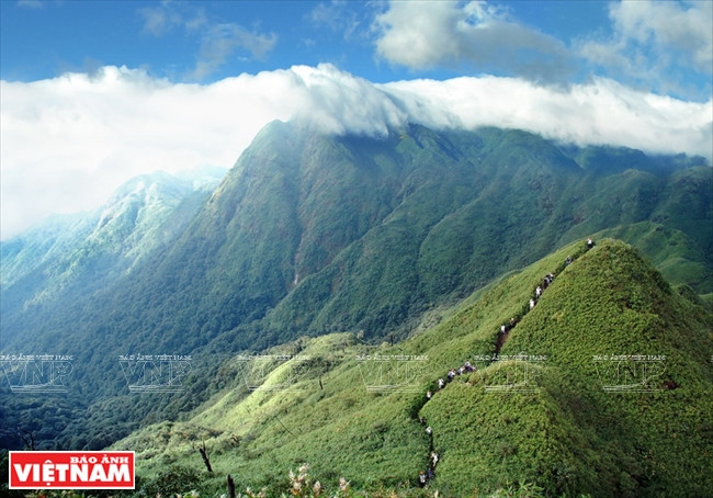  Los turistas pueden explorar el monte Fansipan a través de bosques antiguos y majestuosas montañas. (Fuente: VNA)