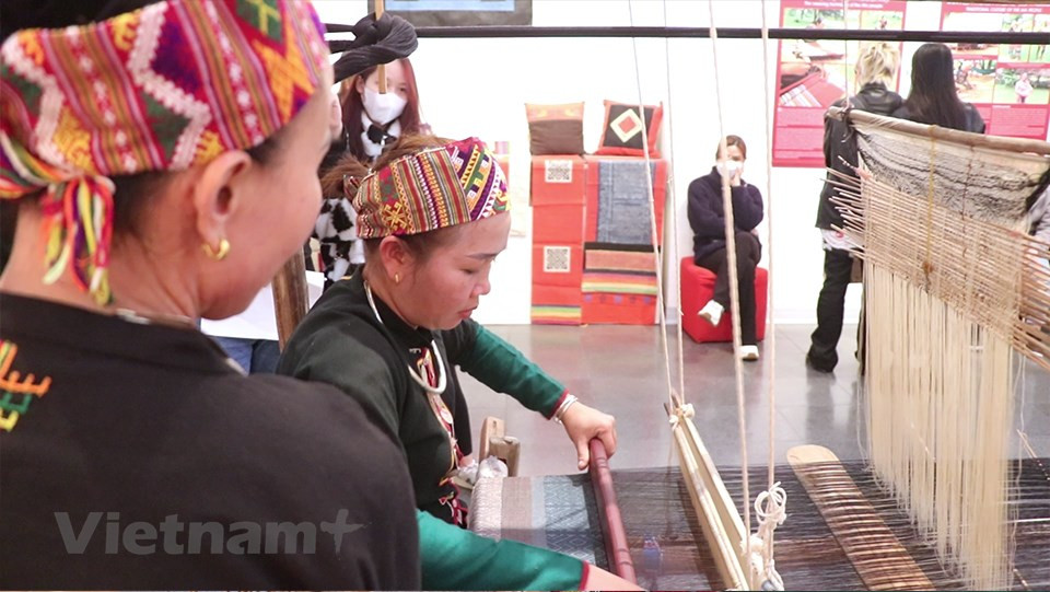 De acuerdo con Lo Van Thang, vicepresidente del Comité Popular del Distrito de Ba Thuoc, el tejido de brocados mostraba signos de desaparición. El desarrollo del turismo comunitario en la localidad, sin embargo, la salvó de este destino. Los productos del distrito son populares entre los turistas nacionales y extranjeros. El distrito seguirá desarrollando el tejido de brocados en Pu Luong y pronto presentará la documentación al Comité Popular provincial para que estas creaciones sean reconocidas como artículos del programa "Una comuna, un producto". Con los esfuerzos concertados de las autoridades locales y los nativos,el tejido de brocado de los grupos étnicos Thai y Muong en el distrito de Bac Thuoc seguramente seguirá desarrollándose, contribuyendo a preservar la cultura tradicional y mejorando los medios de vida locales (Fuente: Vietnam+)