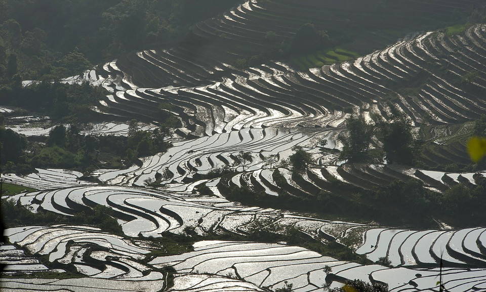 Para capturar completamente el milagro natural, los turistas deben visitar el lugar entre finales de abril y mediados de mayo. (Foto: VNA)