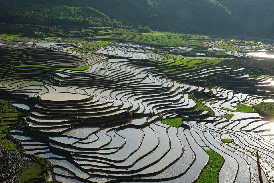 Fascinante belleza de los arrozales en terrazas de Sa Pa. (Foto: VNA)