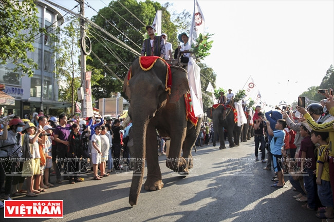 En este año, el desfile de los elefantes también apareció en las calles. El elefante es el símbolo típico y amigo del pueblo de Tay Nguyen, expresando la fuerza, la inteligencia y el coraje del pueblo de Tay Nguyen.