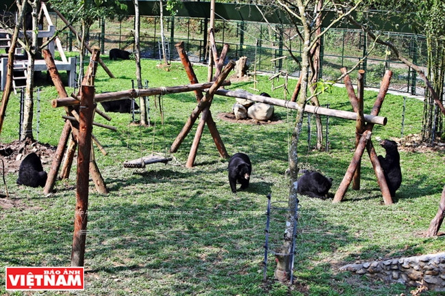 Con una inversión total de 10.000 millones de dong (440.000 dólares), el proyecto fue financiado por la Fundación para los animales de Asia (AAF).