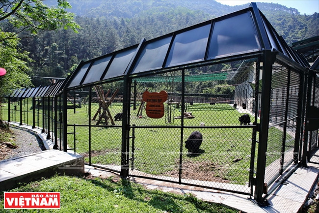 Para mejorar la conciencia de las personas sobre la protección de los osos y su medio de vida, el centro organiza actividades organizadas para que la gente visite el centro..