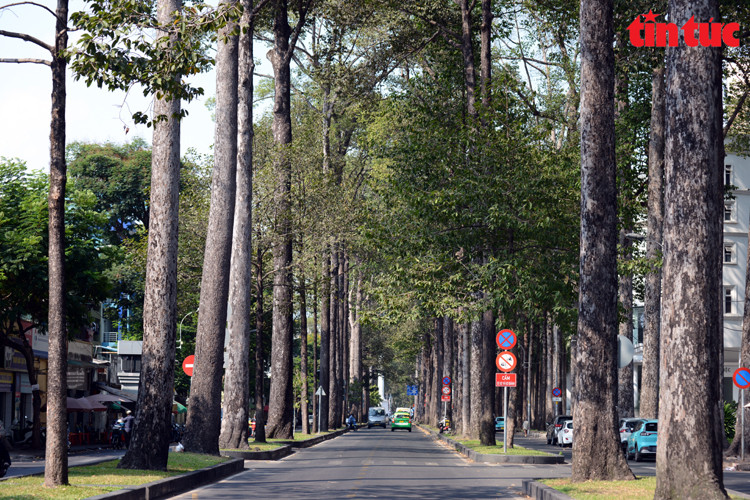 Calle Ngo Gia Tu (Distrito 5). (Fuente: VNA)