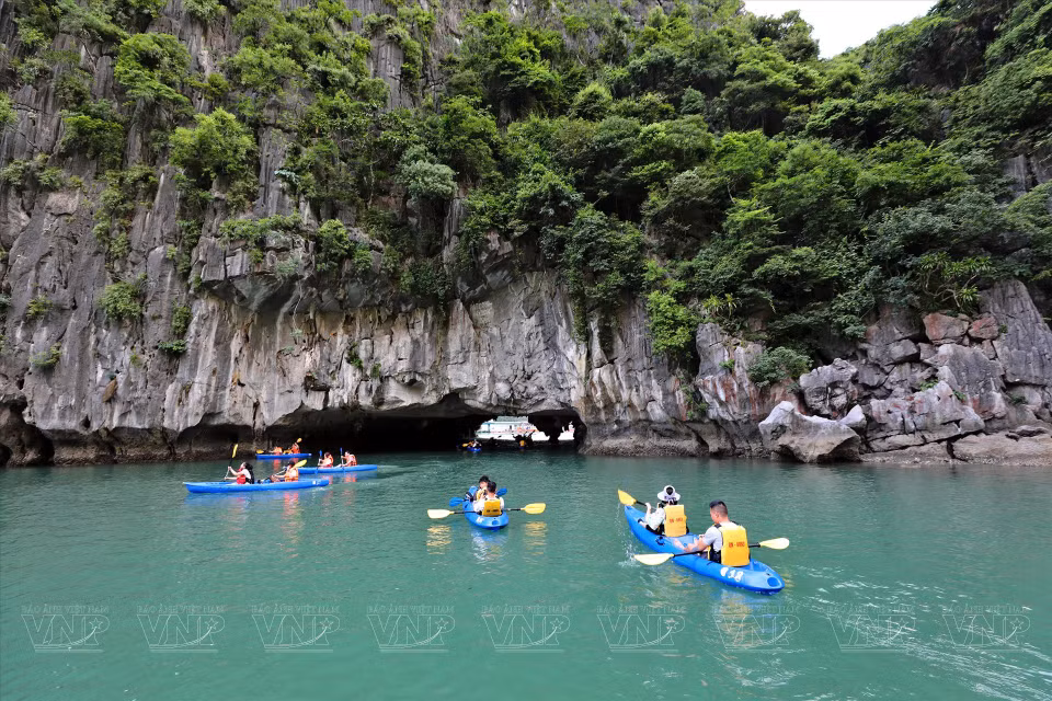 Turistas reman en kayak para explorar las cuevas de la Bahía de Ha Long. (Foto: VNA)