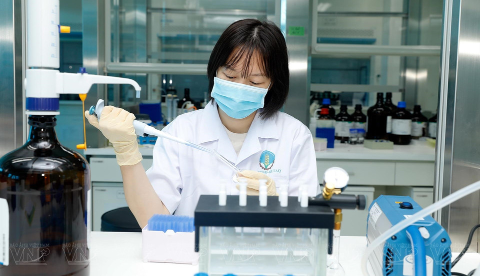 Estos dispositivos son capaces de analizar con precisión los indicadores de seguridad alimentaria.(Foto: VNA)