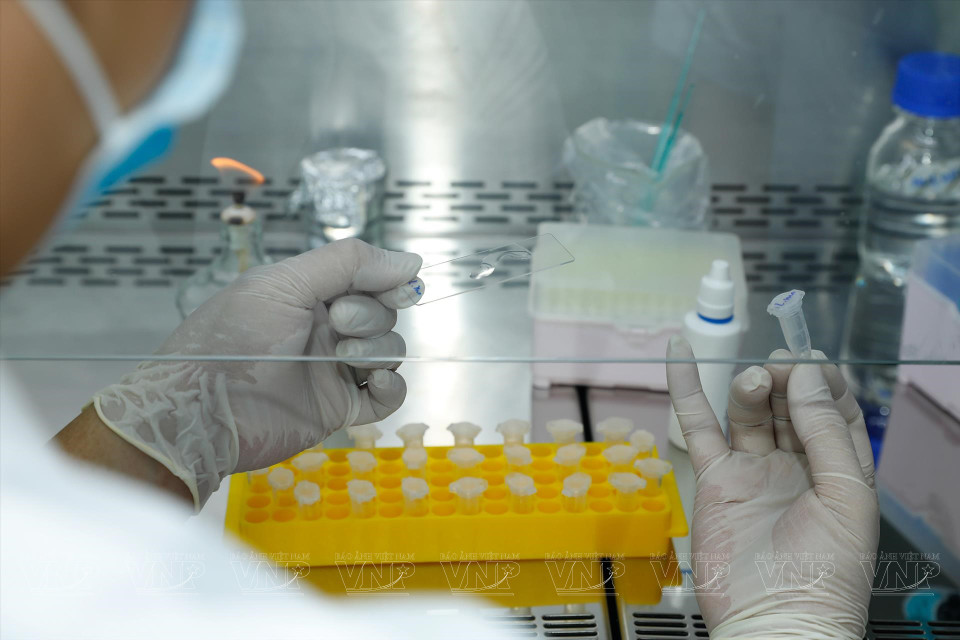 RETAQ también se centra en desarrollar un equipo con experiencia especializada.(Foto: VNA)