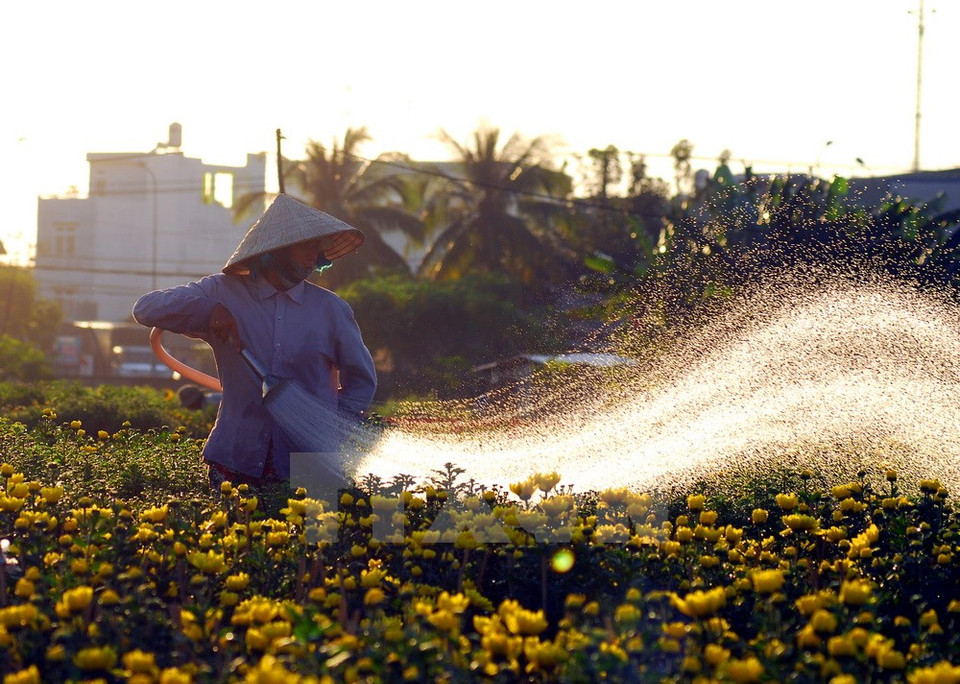 El Tet tendrá lugar a finales de febrero. (Foto: VNA)
