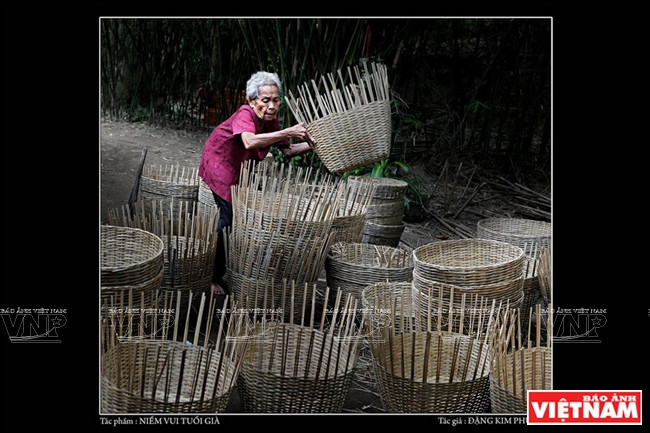 “Complacer de la vejez” 