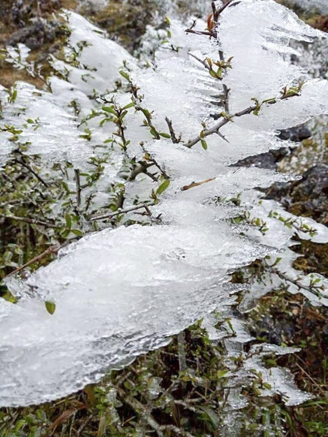 Nieves cubren paso O Quy Ho (Fuente:VNA)