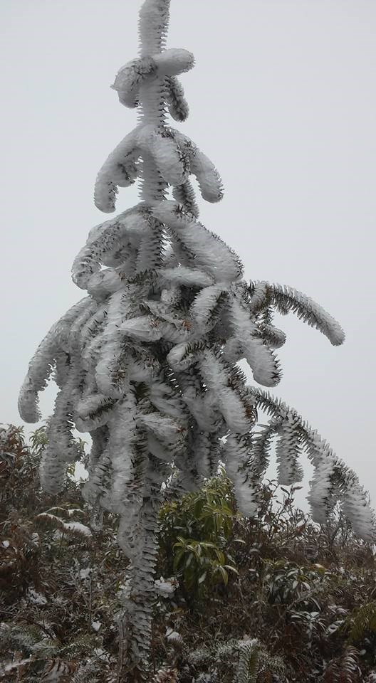 Nieves cubren paso O Quy Ho (Fuente:VNA)