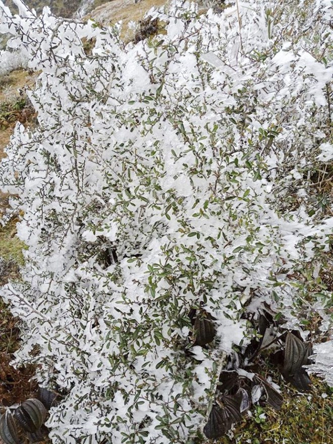 Nieves cubren paso O Quy Ho (Fuente:VNA)