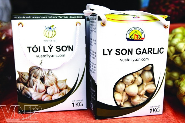 En 2009, Vietnam reconoció la marca comercial de la cebolla y el ajo de Ly Son. Estos productos son cada vez más populares en el mercado doméstico y externo. (Fuente: VNA)