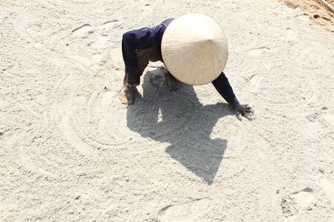 La arena luego se mezcla con la tierra. Los agricultores deben remover manualmente esta mixtura antes de la siembra. (Fuente: VNA)