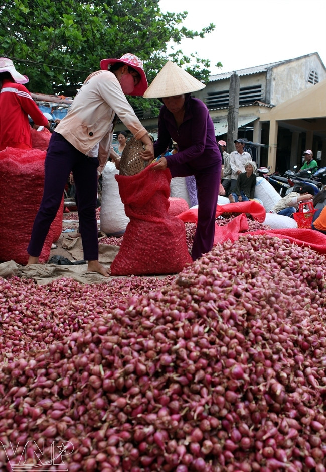 Cada año Ly Son ofrece al mercado más de cinco mil toneladas de productos secados. (Fuente: VNA)