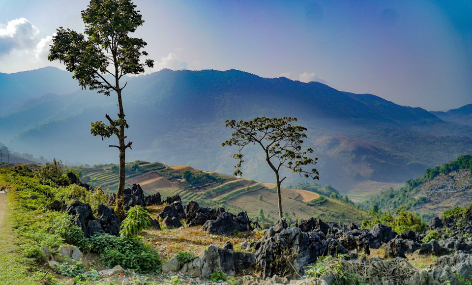 Belleza majestuosa en la meseta rocosa de Ta Phin (Foto: VNA)