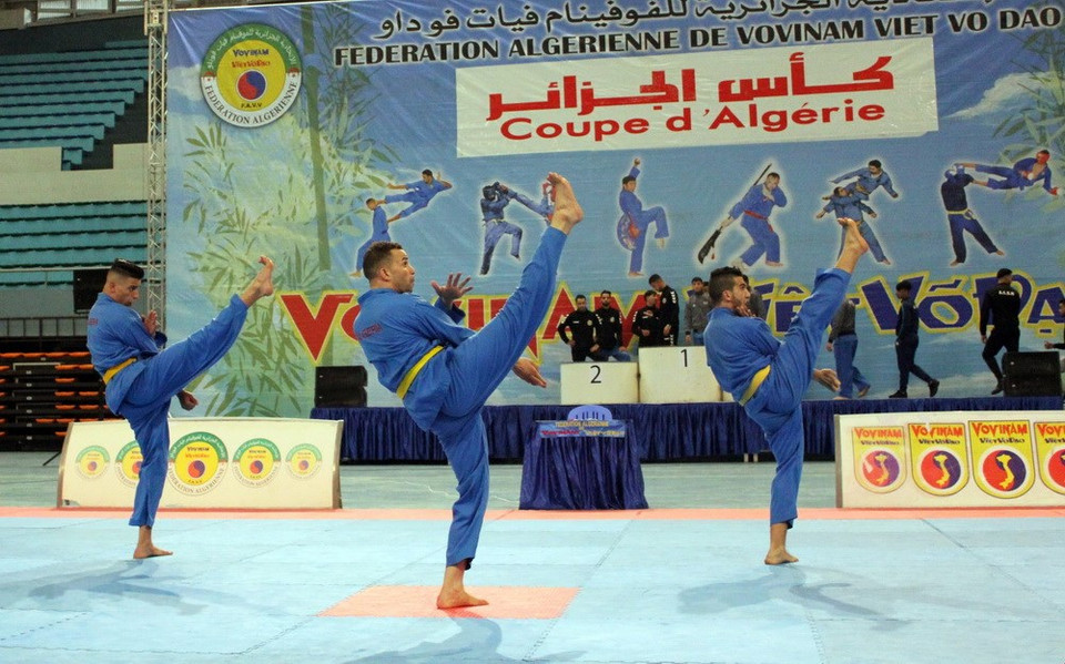 Una actuación de Vovinam de los jóvenes argeles (Fuente: VNA) 