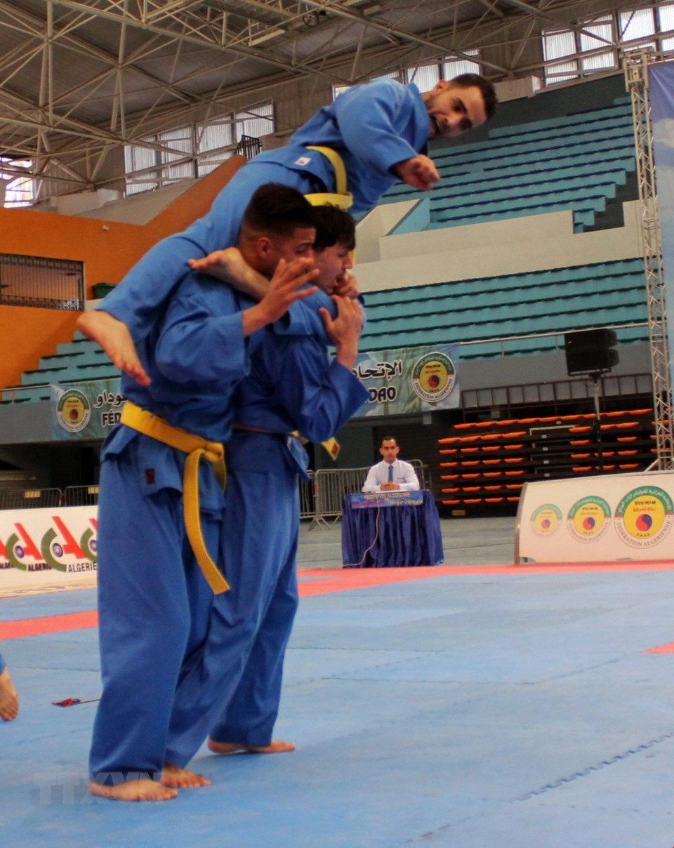 Una actuación de las técnicas de Vovinam (Fuente: VNA) 