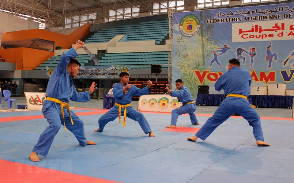 Una actuación de las técnicas de Vovinam (Fuente: VNA) 
