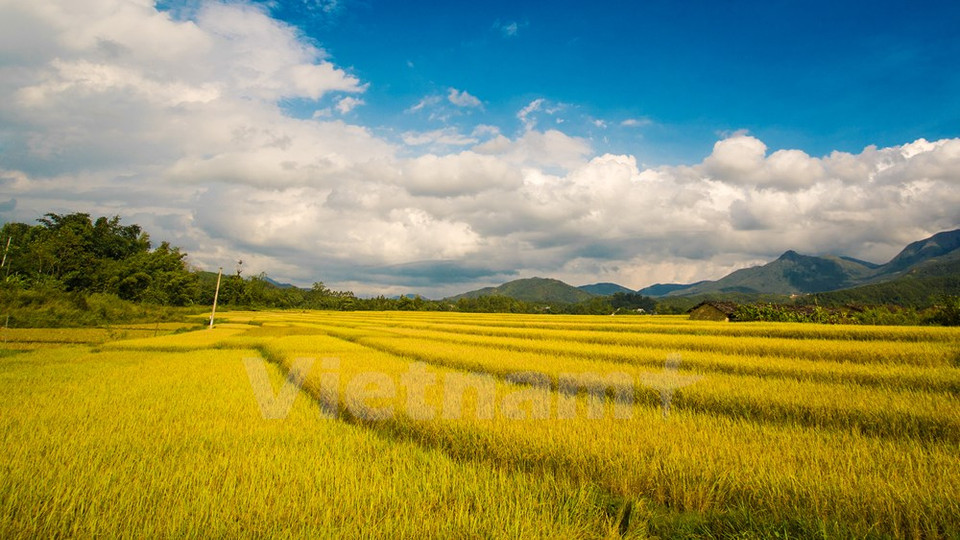 Localizado en el Noreste de Quang Ninh, Binh Lieu es bendecido con pintorescos arrozales y bosques (Fuente: VNA)