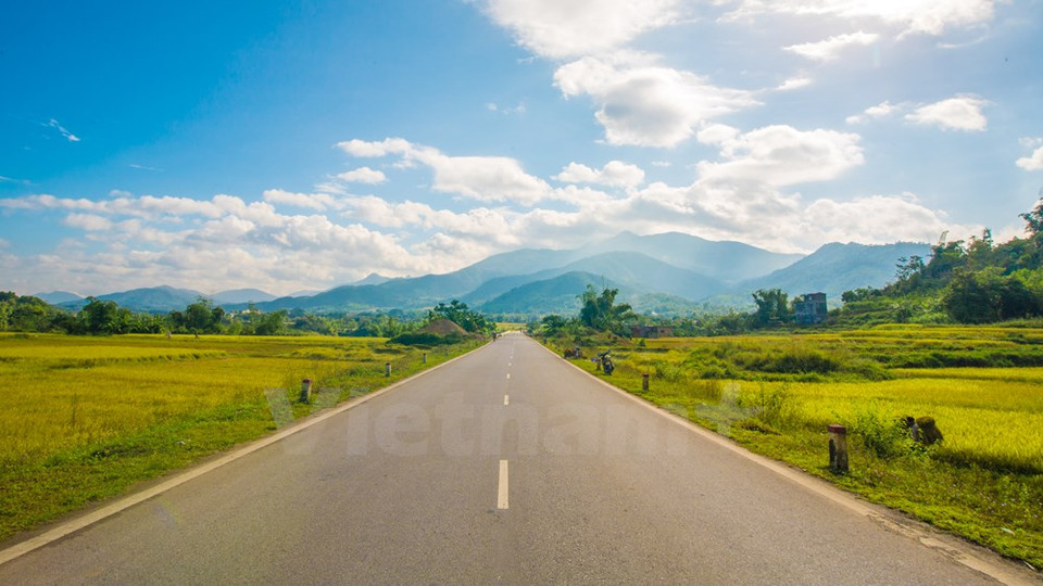 Después de dos horas viajando en la moto desde la ciudad de Ha Long, se encuentran los dorados campos del distrito de Binh Lieu (Fuente: VNA) 