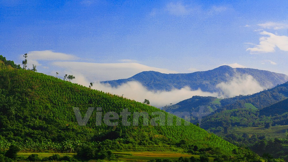 La majestuosidad de montañas y bosques (Fuente: VNA)