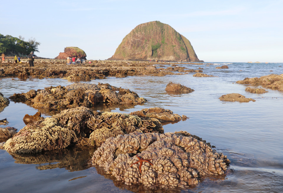 La provincia de Phu Yen está planeando proteger los arrecifes de coral en el sitio turístico nacional de Hon Yen (Fuente: VNA)