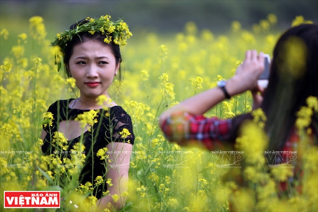 A los jovenes les encanta hacer guirnaldas de flores de mostaza (Fuente: VNA)