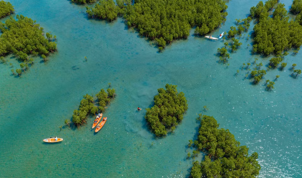 El bosque de mangles de Dam Bay, en la bahía de Nha Trang de la provincia survietnamita de Khanh Hoa, visto desde arriba (Fuente: VNA)