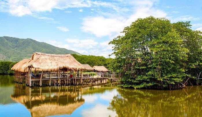 Experimentan servicios turísticos ecológicos en manglares en la bahía de Nha Trang (Fuente: VNA)