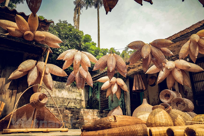 Además de las actividades agrícolas, los campesinos locales han inventado muchos tipos de herramientas para capturar peces y camarones. Se trata de un instrumento tradicional de muchos agricultores en las provincias deltaicas del norte. (Foto: VNA)