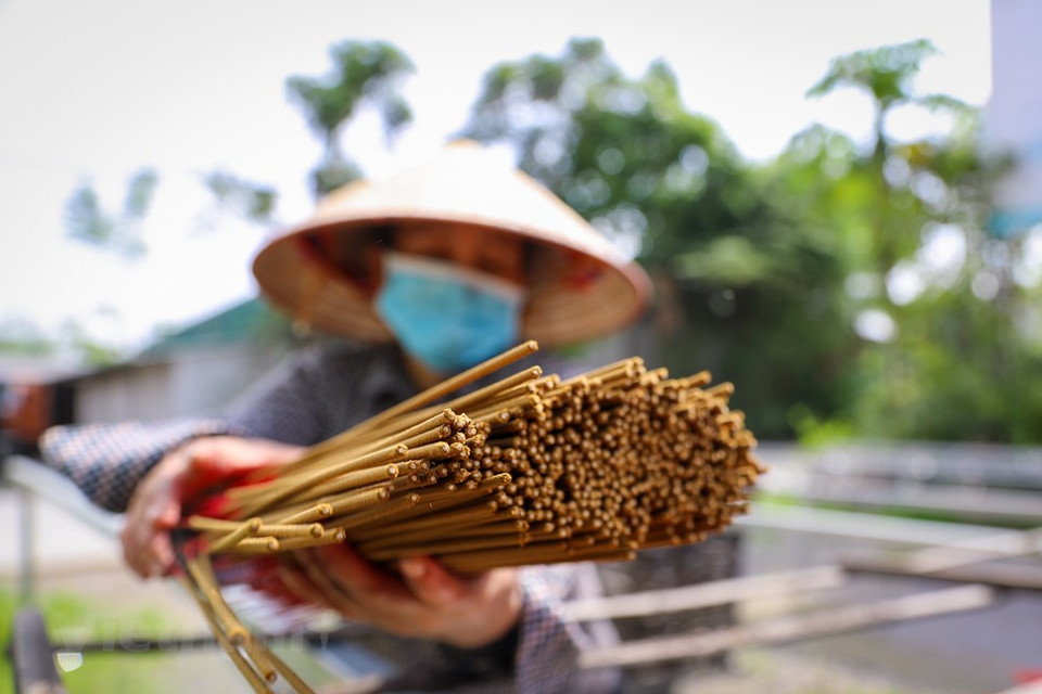 El año nuevo lunar es la temporada más ocupada de los residentes de la aldea de Quang Phu Cau. Para esto los trabajadores se esfuerzan mucho secando y reduciendo la corteza del bambú y troceando los tablones en una máquina de trituración, otros sumergen las tiras finas en baldes de tinte rosado. Luego de esto, las mujeres que usan mascarillas de tela cubren los palitos secos con pasta de incienso aromático antes de enrojecerlos y enviarlos para el embalaje. Además de utilizarse en ceremonias y ritos religiosos y festivos, el incienso es un elemento habitual en el interior de las casas, donde se suelen celebrar ceremonias para rendir homenaje a los ancestros, una práctica que todavía conserva una gran importancia moral y social en Vietnam. (Foto: Vietnam+) 