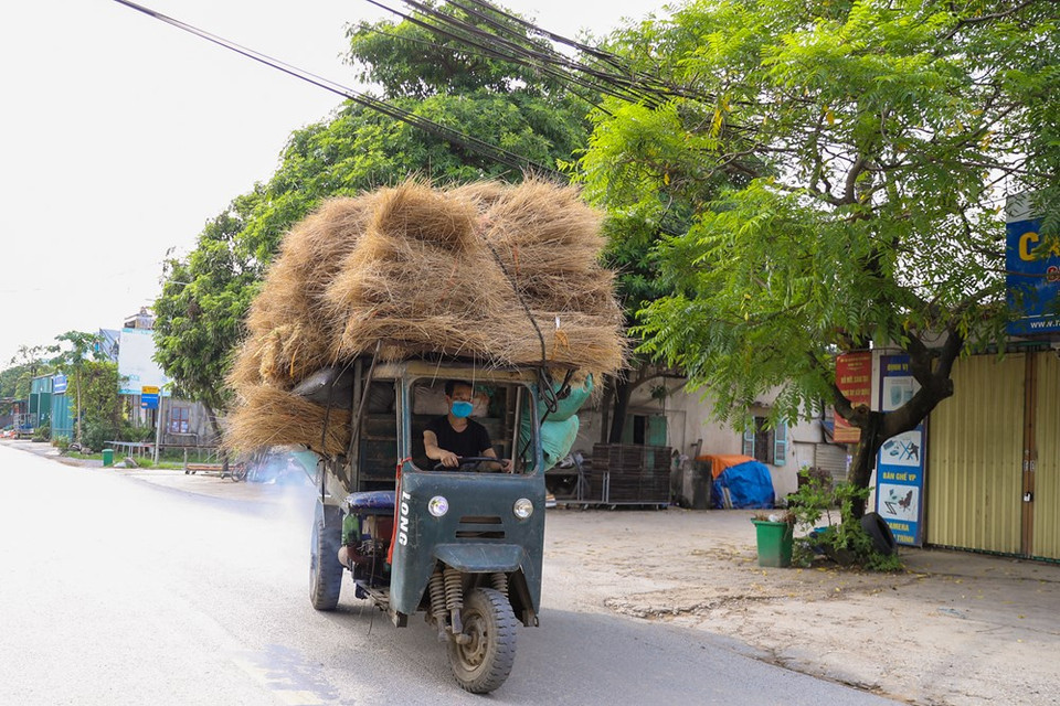 . Las varillas de incienso de Quang Phu Cau no solo son preferidas por los clientes nacionales, sino también se exportan a muchos países. A pesar de muchos altibajos, el trabajo de hacer inciensos ha ayudado a que la vida de los pobladores locales mejore significativamente. Las casas se construyen y se modernizan, mientras el sistema de carreteras se ha mejorado para satisfacer las necesidades de las personas de viajar y hacer negocios. La elaboración de varillas de incienso en la aldea de Quang Phu Cau incluye muchos pasos, como cortar bambú, mojar las varillas en tinte rosa, secarlas al aire libre y producir pasta de incienso. (Foto: Vietnam+) 