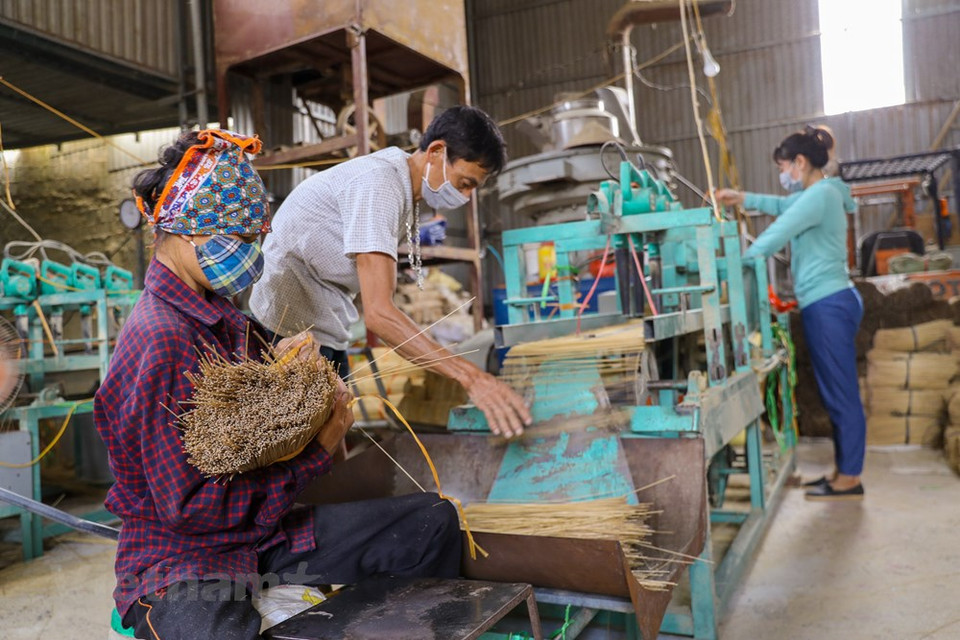 El pueblo de Quang Phu Cau es famoso por la producción de incienso. Antiguamente el incienso sólo lo utilizaban como ofrenda recordando sus antepasados o en ceremonias especiales. Con el tiempo, este producto se ha ido especializando con colores y olores diferentes, lo que ha supuesto un aumento muy importante de la producción y por lo tanto también un incremento de incremento de puestos de trabajo, de manera directa e indirecta. El año nuevo lunar es la época más frenética del año para los trabajadores de la industria artesanal en la aldea de Quang Phu Cau, donde las familias han estado haciendo incienso durante más de un siglo, una gran fuente de orgullo para muchos. (Foto: Vietnam+) 