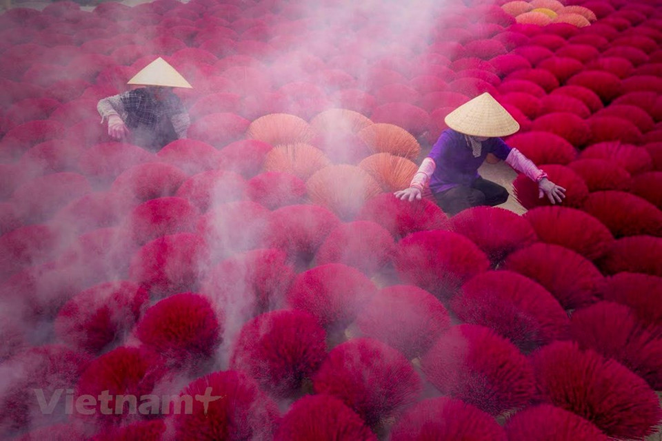 Todas las partes de las aldeas de Cau Bau, Phu Luong Thuong y Dao Tu de la comuna están llenas de incienso de color rosa y rojo. Con varillas de incienso para exportación, el material es Vau, una especie de bambú, porque es fácilmente inflamable pero no se rompe al arder. Este tipo de incienso debe ser hecho a máquina para asegurar que quede uniforme, redondo y brillante. Mientras tanto, las varillas de incienso para el mercado nacional se usan Nua, una especie de bambú y se cortan a mano. Este tipo puede ser redondo o cuadrado, pero es necesario remojarlo en el agua para evitar ser un escarabajo. (Foto: Vietnam+) 