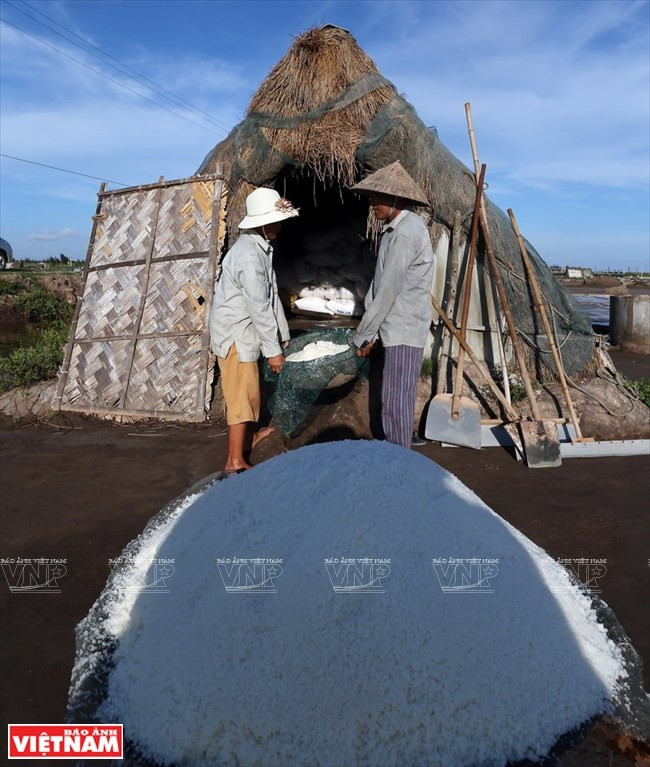 Productores locales de sal. (Fuente: VNA)
