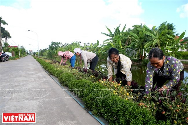 La gente local mantiene caminos florales en el distrito. (Fuente: VNA)